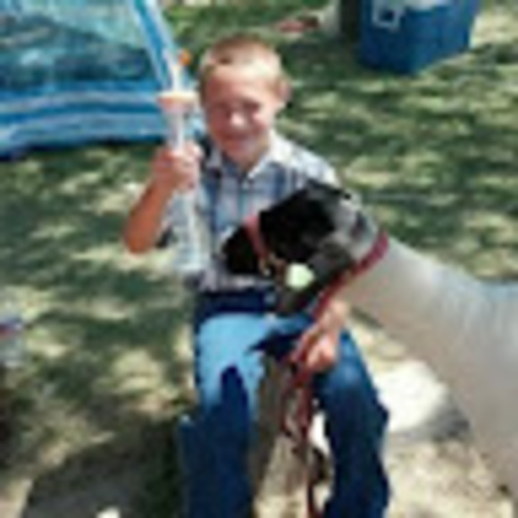 Meet your Posher, Maden - Picture 1 of 1